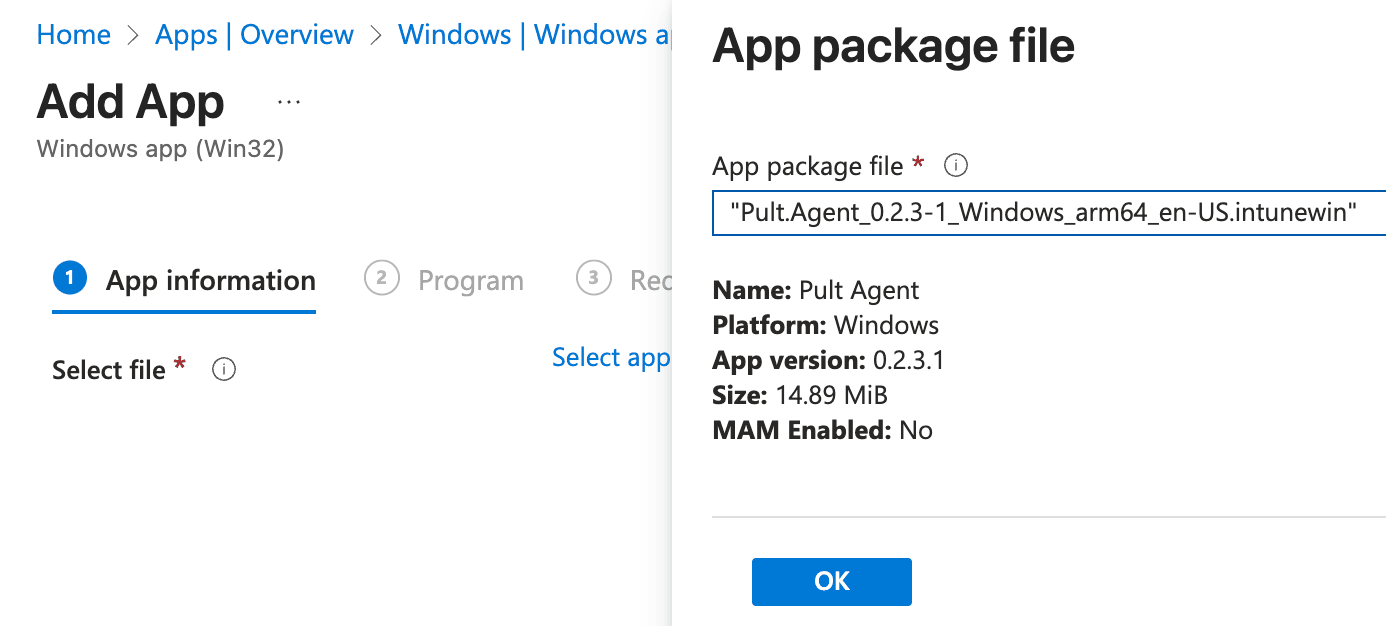 Win32 app wizard summary step